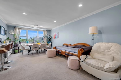 Bell Apartments unit 4B, Bayside, NY 11360 - photo 3