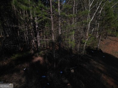 15693 Tanglewood Dr, Elberton, GA 30635 - photo 4