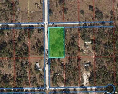 21630 SE 71st Place, Morriston, FL 32668 - photo 6