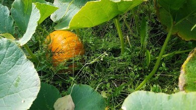 IMG-2307