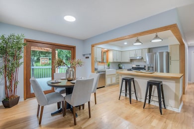 4600 Fern St, Maple Plain, MN 55359 - photo 5