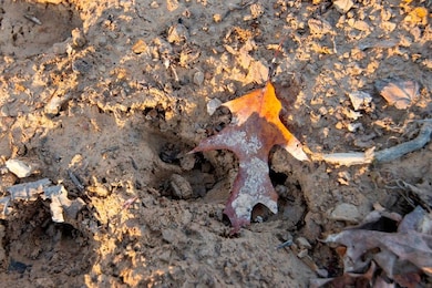 0 Parsons Dr, Mullens, WV 25882 - photo 3