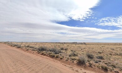 Pima St, Holbrook, AZ 86025 - photo 3