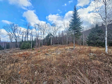 706 Vt Route 100, Stratton, VT 05360 - photo 6