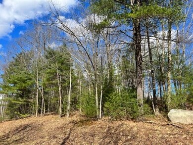 19 Bancroft Rd, Londonderry, NH 03053 - photo 2