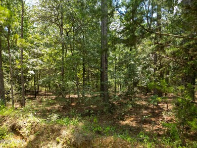 TBD Creek Run Rd, Vernon, FL 32462 - photo 3