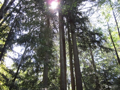 20633 SE 388th St, Enumclaw, WA 98022 - photo 7