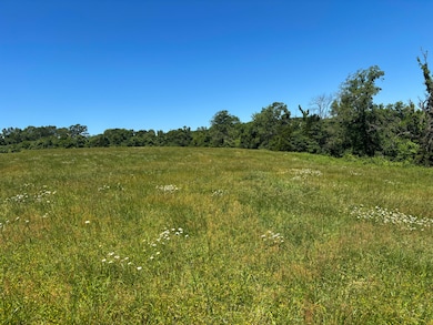 Tbd U S 160, Theodosia, MO 65761 - photo 5