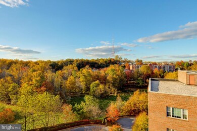 9500 Side Brook Rd unit 504, Owings Mills, MD 21117 - photo 5