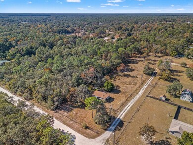 0 Rigsby Rd, Shady Hills, FL 34610 - photo 5