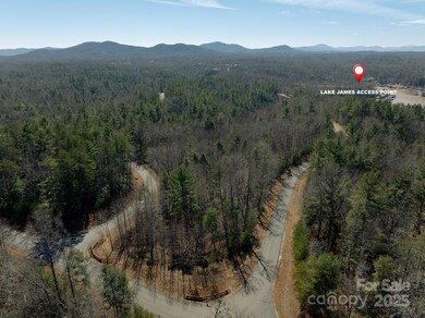 761 High Trail Dr unit 39, Nebo, NC 28761 - photo 5