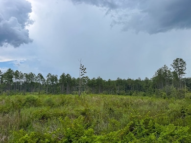 T-2 Louisiana 127, Jena, LA 71371 - photo 3