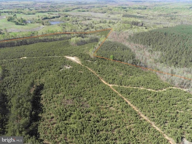 0 Cabell Lane (Tract: 5810 Thomas M Brooks) unit VABH2000204, New Canton, VA 23123 - photo 5