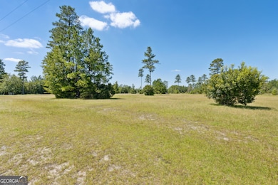 LOT 41 Thoroughbred Rd, Woodbine, GA 31569 - photo 6