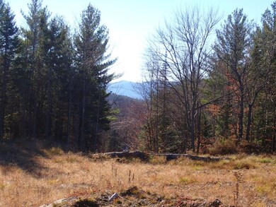 0 Upper Fisher Rd, Roxbury, VT 05663 - photo 4