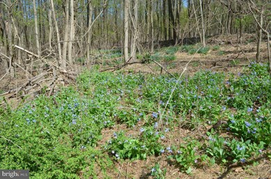 0 Raven Rocks Rd unit 1003475354, Bluemont, WV 20135 - photo 6
