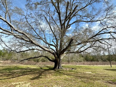 9182 Hwy 48e, Magnolia, MS 39652 - photo 3