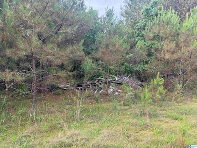 0 U S 43 unit 21410973, Guin, AL 35563 - photo 4