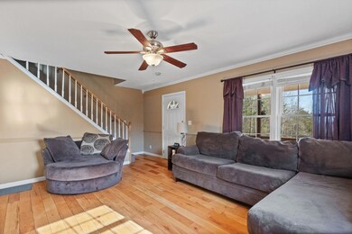 4-web-or-mls-217A0822