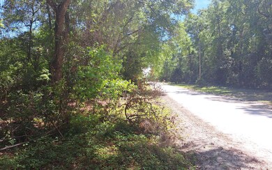 4359 288th St, Branford, FL 32008 - photo 4