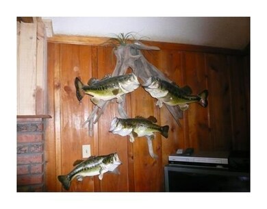 Other. Caught in your backyard, some right off the