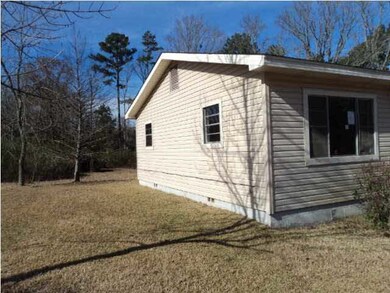 Left side of the house