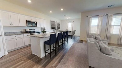 35691 Buttonweed Trail, Zephyrhills, FL 33541 - photo 5