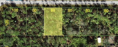 14223 Cain Ave, Port Charlotte, FL 33953 - photo 6