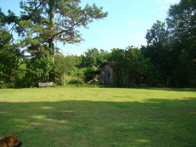 Back yard View