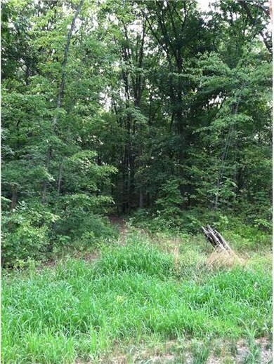 Lot 1 Old Plains Rd, Pennsburg, PA 18073 - photo 7