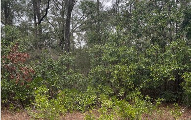 0 280th St, Branford, FL 32008 - photo 2