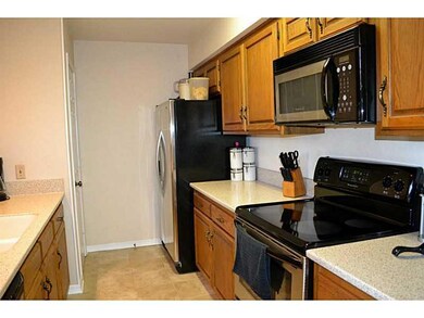 Photo. Kitchen