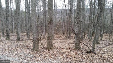 36 A High View Rd, Lost River, WV 26810 - photo 5