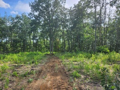 0 Thomas Springs Rd, Crossville, TN 38572 - photo 5