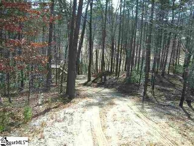 120 Ridgerunner Way, Travelers Rest, SC 29690 - photo 5