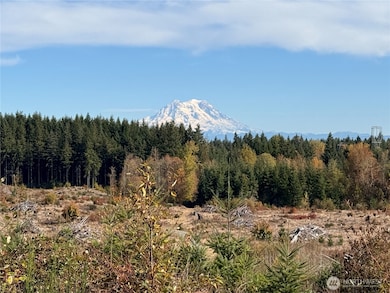 132 xx Algyer Rd SE, Rainier, WA 98576 - photo 3