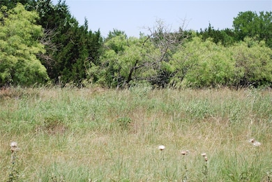 37069 Woodacre Loop, Whitney, TX 76692 - photo 3