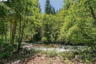 121 Mountain Aire Ln, Trinity Center, CA 96091 - photo 3