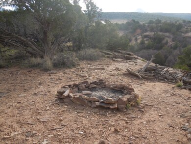 View of local wilderness