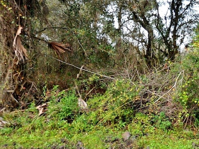 0 Padgette St unit MFRD6143846, North Port, FL 34291 - photo 2