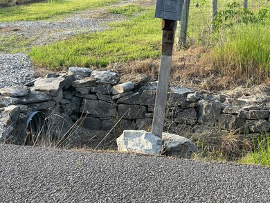 12297 Elrod McElroy Rd, Milton, TN 37118 - photo 7