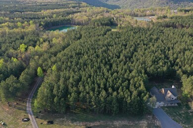 0 River Bluffs Jh 193 Dr unit RTC2721473, Jasper, TN 37347 - photo 5