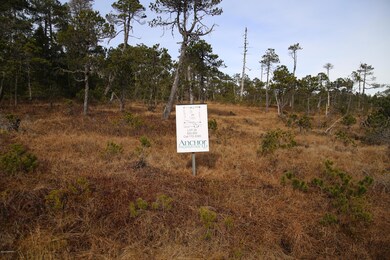 Bayview Lot 24.JPG