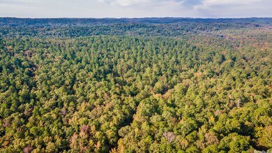 0 Garrison Rd W unit 22020890, Little Rock, AR 72223 - photo 3