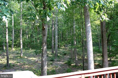 10602 Chesterwood Dr, Spotsylvania, VA 22553 - photo 5