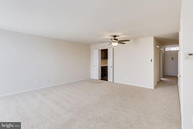 2222 S Randolph St unit 2, Arlington, VA 22204 - photo 7