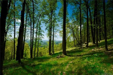 49 Split Rock Tr unit 4, Avery Creek, NC 28704 - photo 5