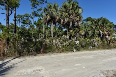 118 Cottage Ln, Port St. Joe, FL 32456 - photo 2