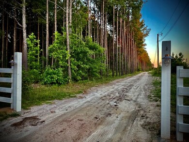 1739 Snellbridge Rd, East Dublin, GA 31027 - photo 6