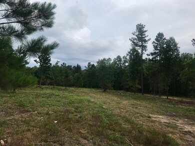 2420 Dennis Rd, Macon, GA 31220 - photo 2